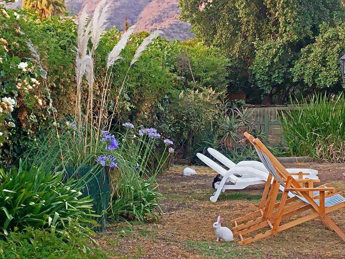 Novaqua Bed & Breakfast Olmué Dış mekan fotoğraf